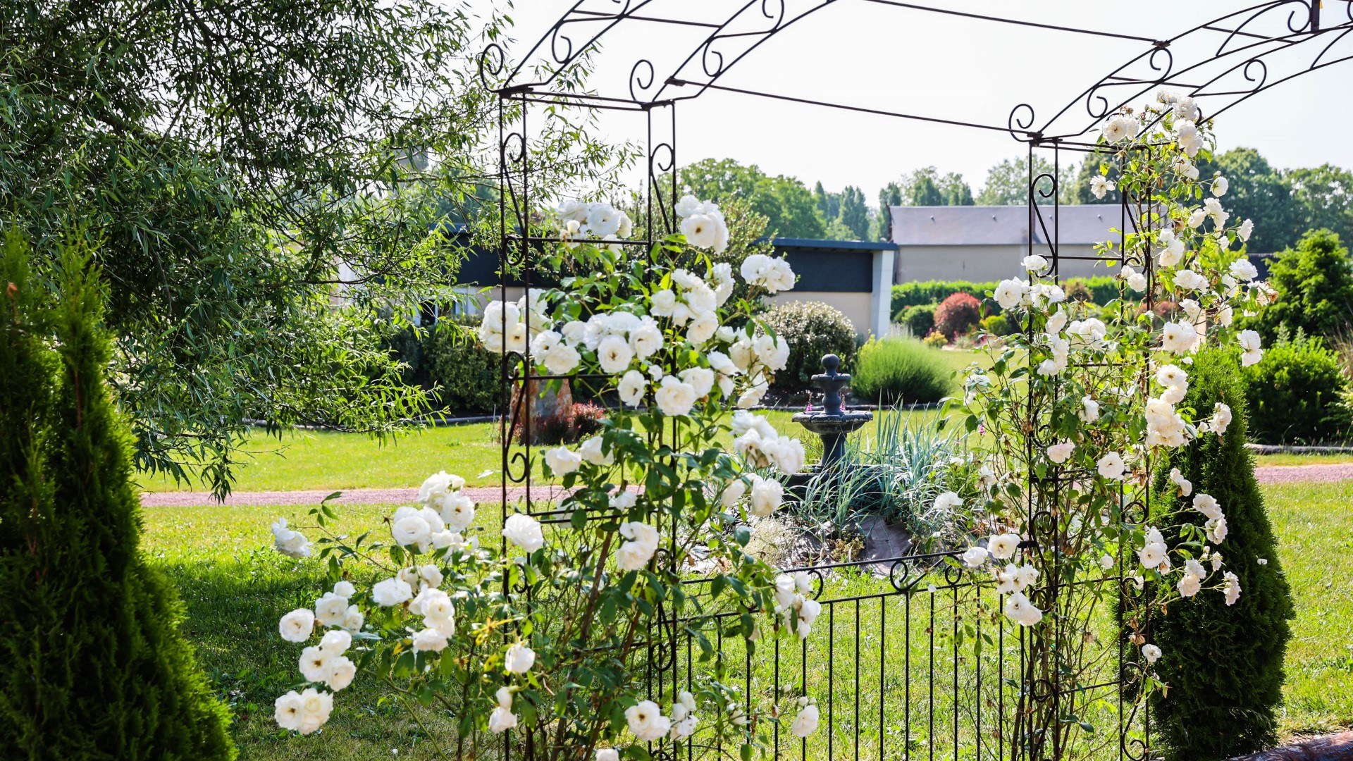 Roseraie avec tonnelle de roses blanches
