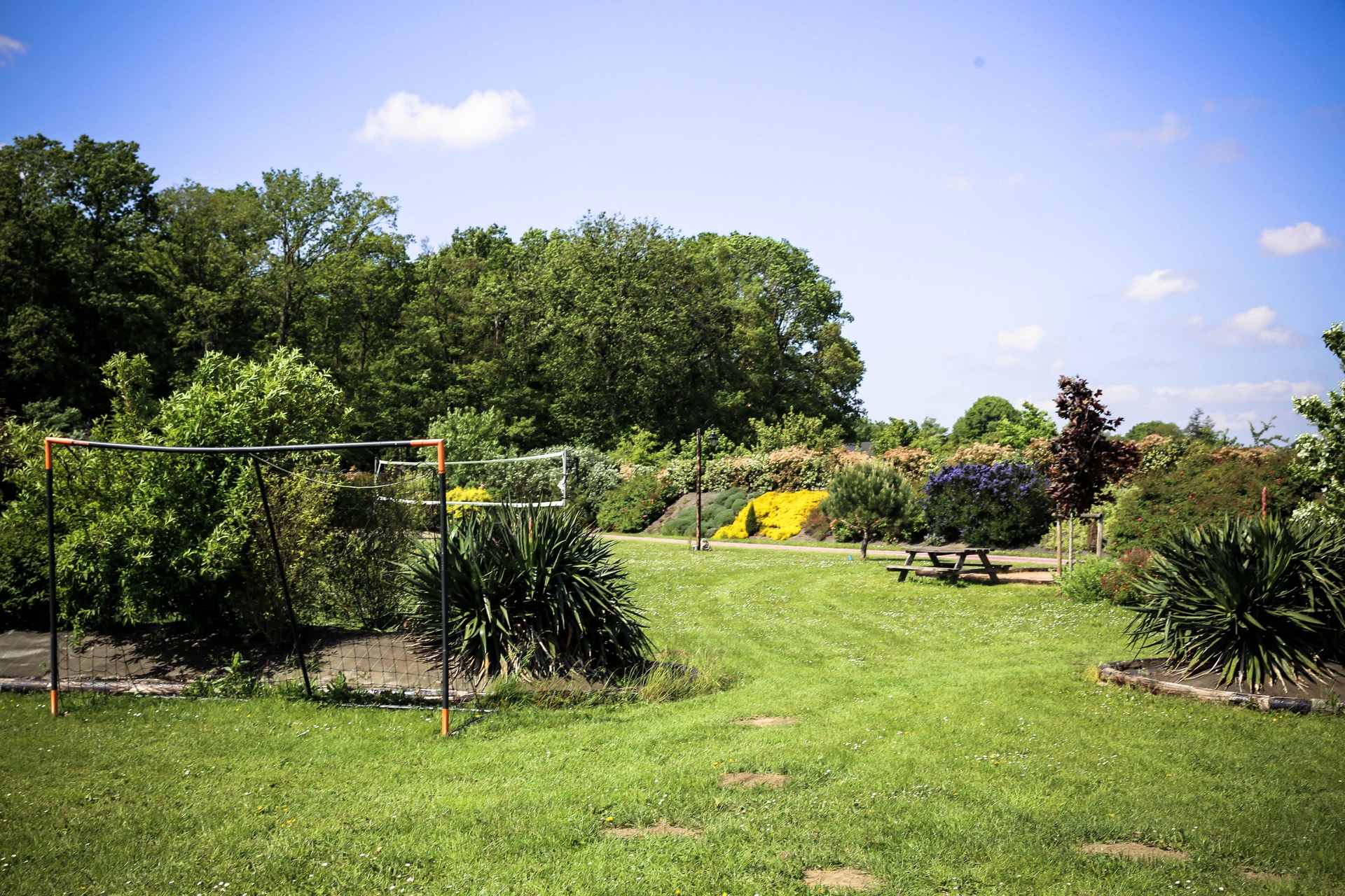 Jardin avec fleurs estivales