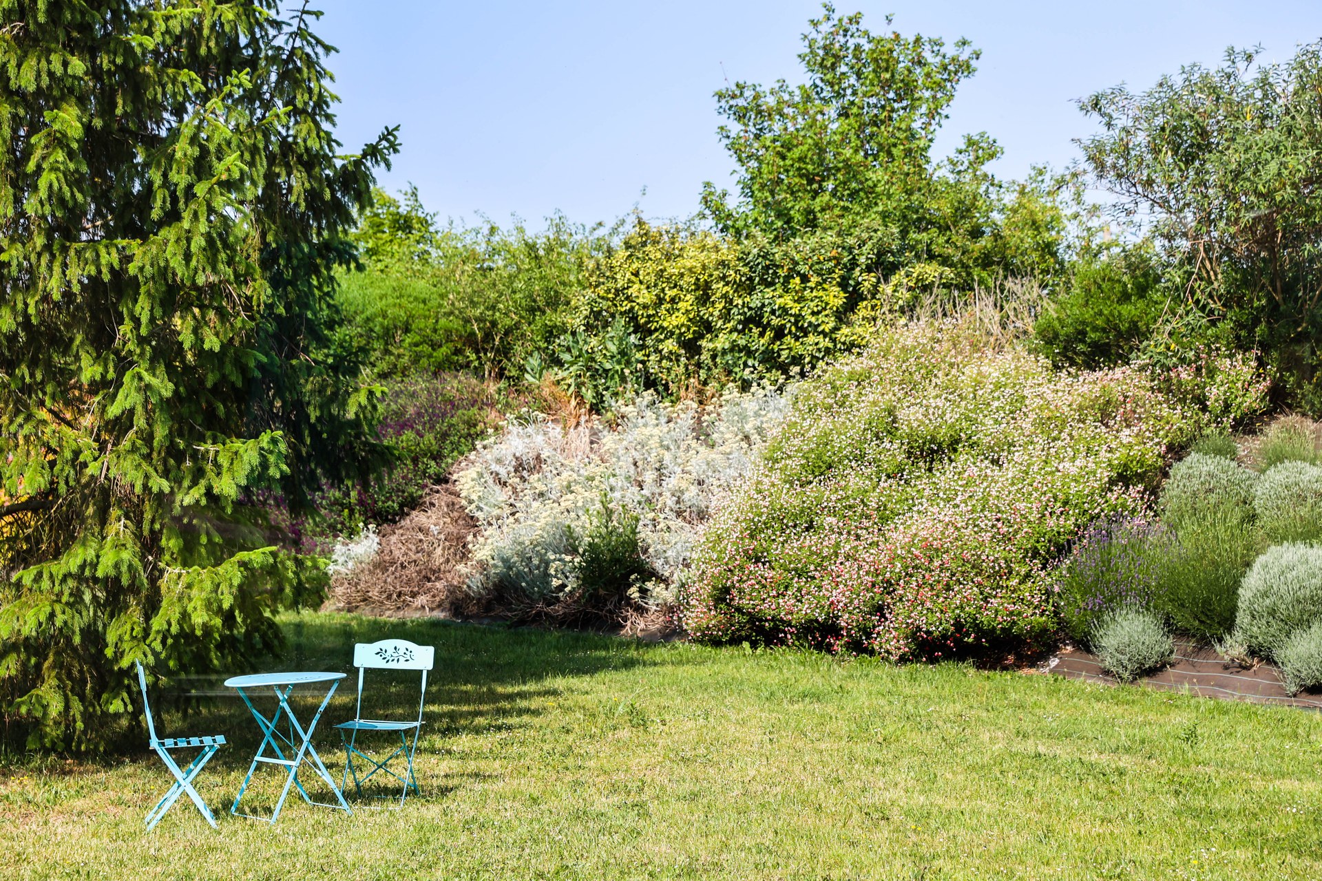 Salon de jardin dans le parc